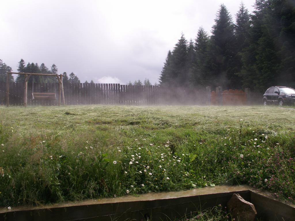 Sadyba Drymba Skhidnytsia Exterior photo